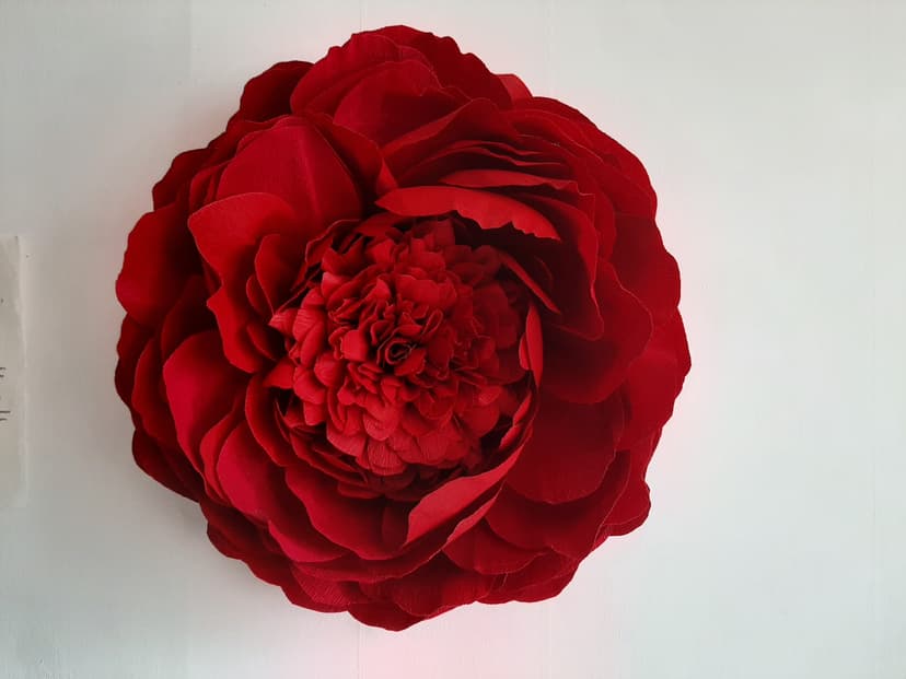curriculum/resized/giant-flower/1679831376635_d1669e50.jpg