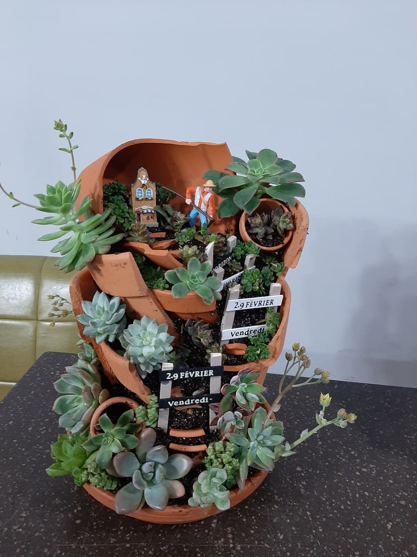 curriculum/resized/succulent-instructor/1679829852939_39593c18.jpg